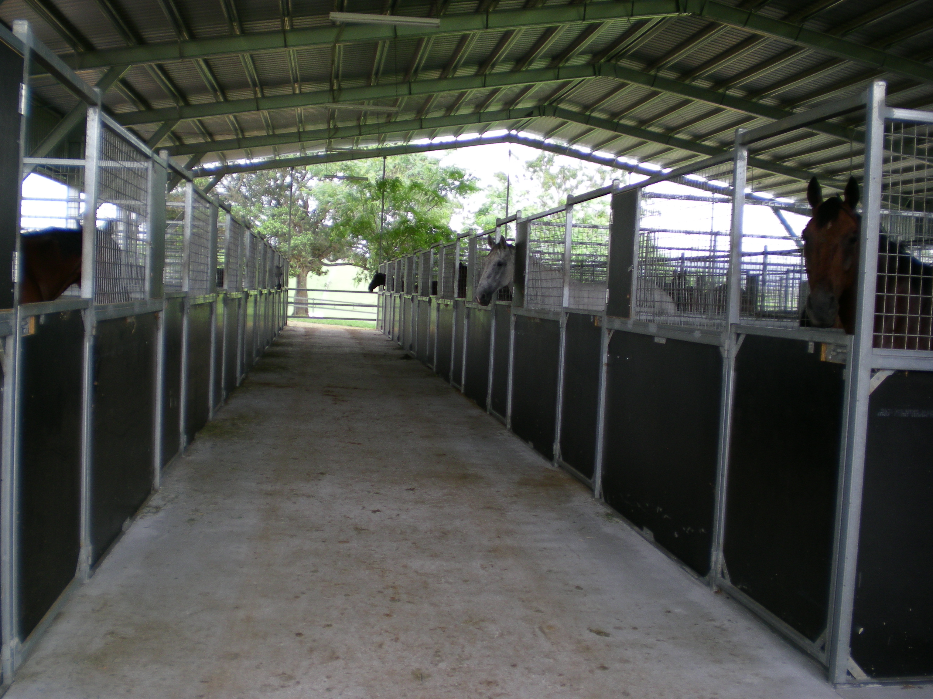 Glen Haven Park Stables